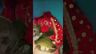 #शेर सवारी करके हो मैया#video#song #viral #hashtag #training#reeta Verma#