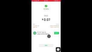 website- Wechat pay (USD) screenshot 4