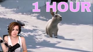 [1 HOUR] That's The Cutest Fucking Thing I've Ever Seen In My Entire Life Meme