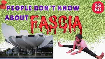 Most People Don’t Know This About Fascia ❌ | 15 Min Yin Yoga + TCM 5 Elements #SG60 #yoga