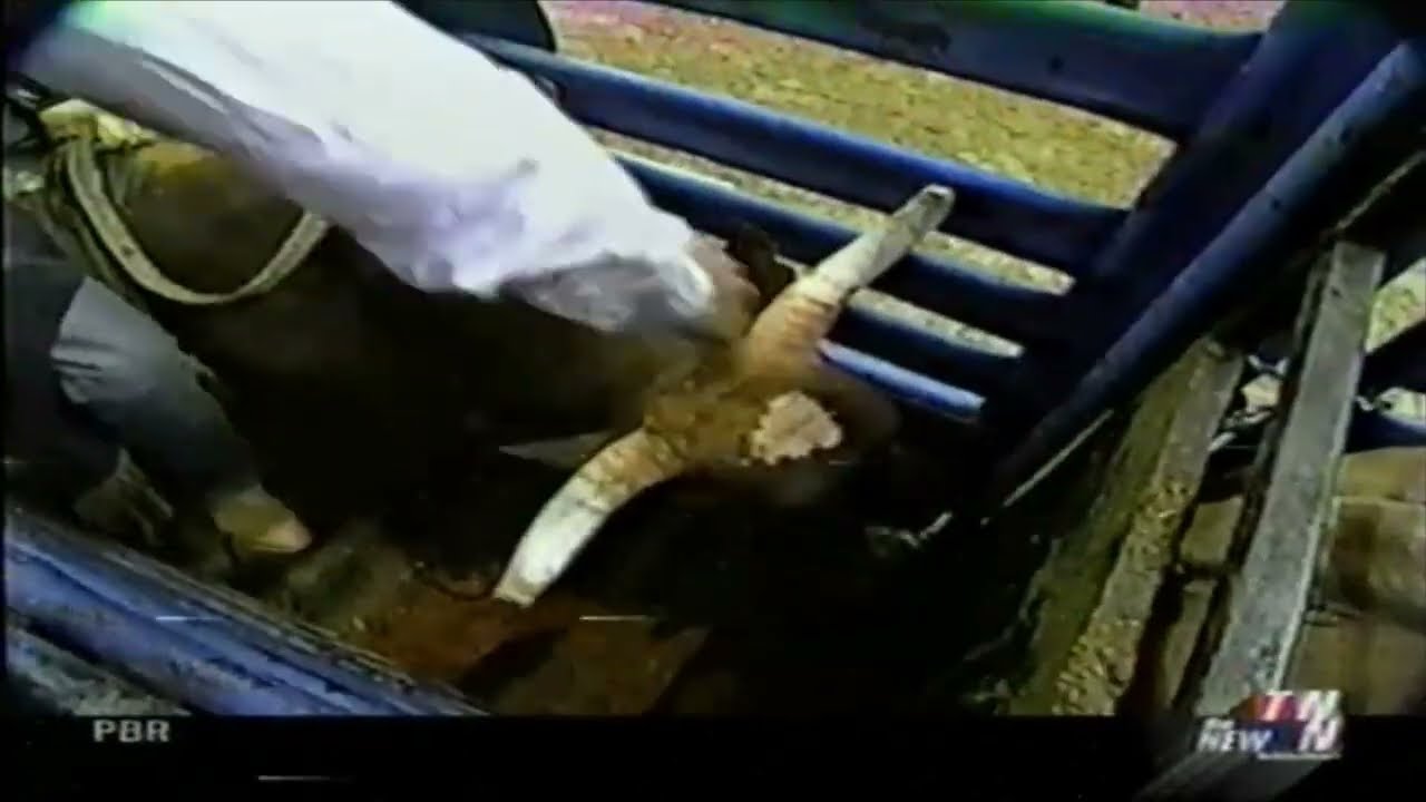 Wiley Petersen vs Coyote Ugly - 02 PBR New Orleans (91 pts)