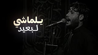 عفت بالدار عين مغوركه دموع 💔 | مرتضى حرب | يالماشي لبعيد | ستوريات حسينيه حالات واتساب لمحرم 2025 screenshot 4