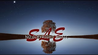 Reflection - Broken Elegance - [Vlog No Copyright Music]