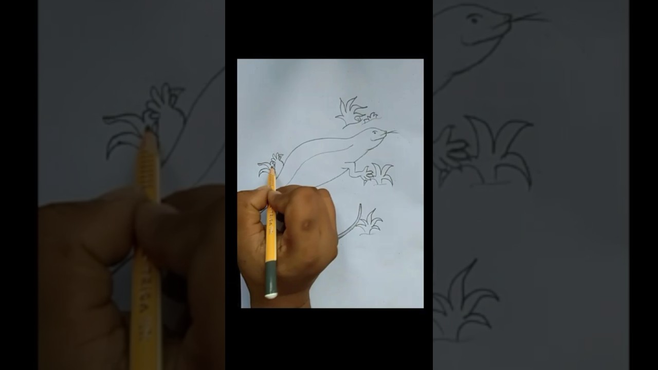 How to draw a Monitor Lizard (Goh) 