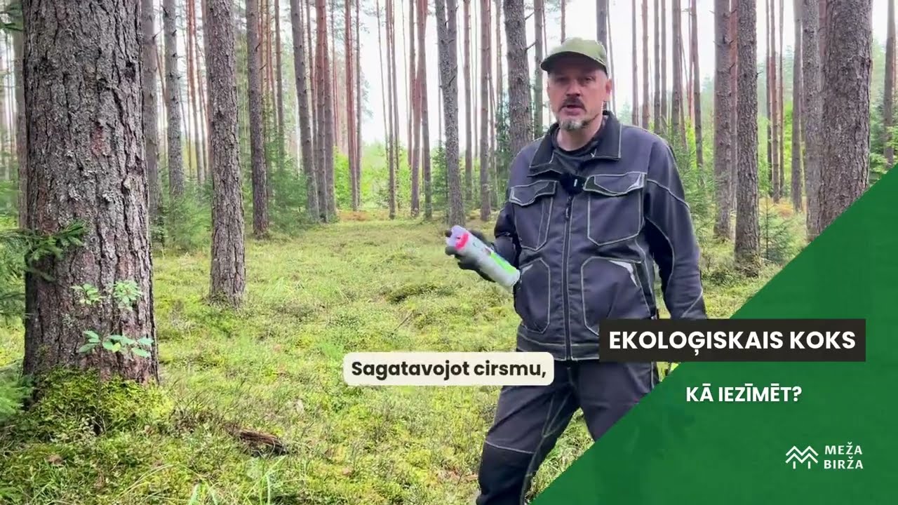 Kā pareizi iezīmēt ekoloģiskos kokus? Praktisks padoms.