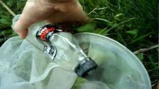 Litter