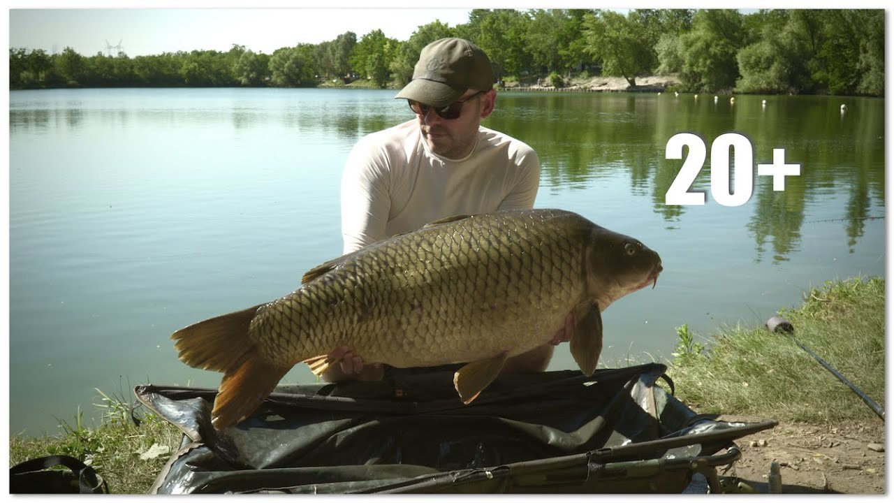 Nyári pecák | Bányatavi horgászat nagy pontyokra