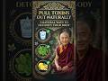 Buddhist Monk's Wellness Tip #motivation