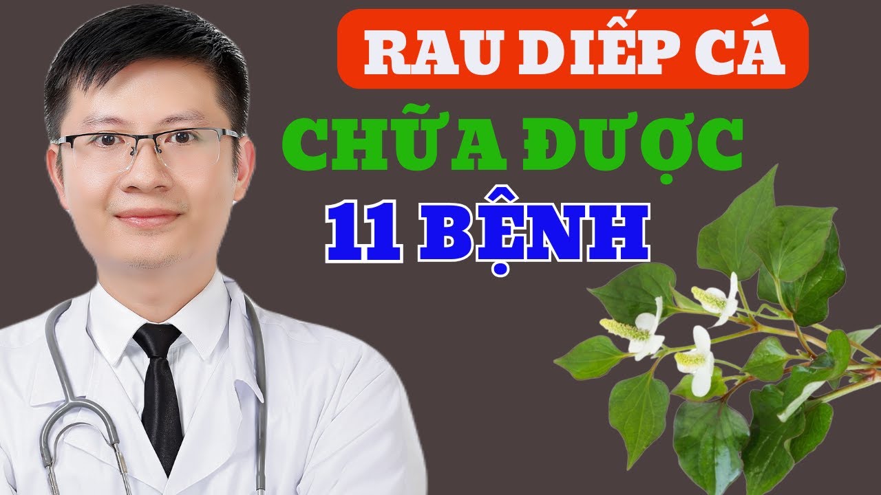 11 Lợi ÍCh Của Rau Diếp Cá Chữa 111 Bệnh Thường Gặp Nhất | Cao Minh Trường
