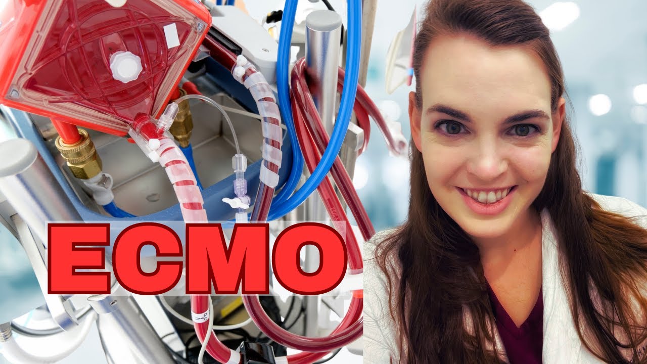 ICU Doctor explains ECMO || Life Support