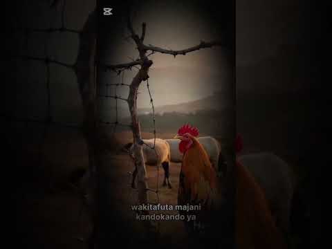 A Beautiful Story About Mang Ombe Village