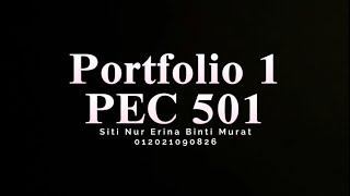 Portfolio 1 PEC 501