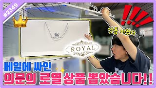 What is the identity of this royal prize I found at the claw machine shop! Why is this even here...