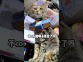 脑洞大开,笑料拉满
