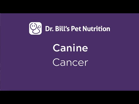 Canine Cancer |