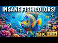 Ultra Colorful Fish in 8K HDR 🐠 | Perfect TV Demo &amp; Relaxing Ocean Video (2 Hours)