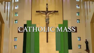 Roman Catholic Mass for July 6th, 2025: Fourteenth Sunday in Ordinary Time