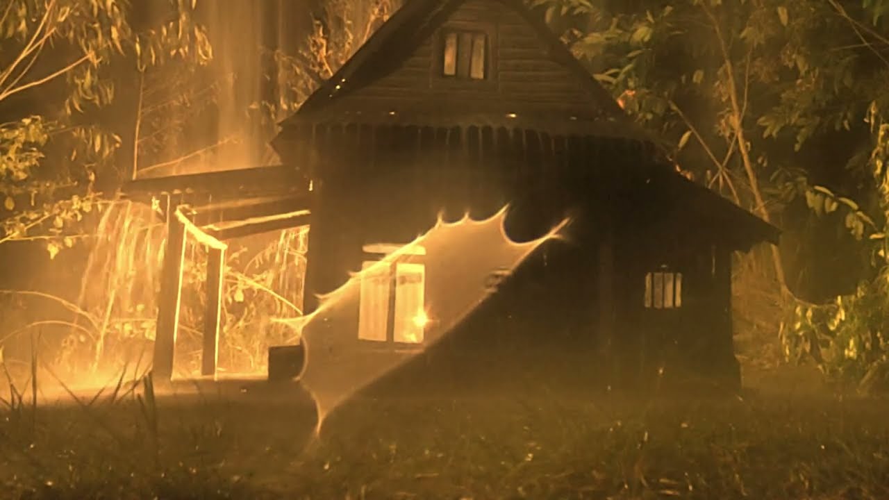 Deep Sleep Instantly in 13 Minutes with Rainstorm & Heavy Thunder Sounds Around Forest-Farm at Night