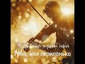 ROZAVIN Грай моя скрипонько Українська народна пісня Official Audio
