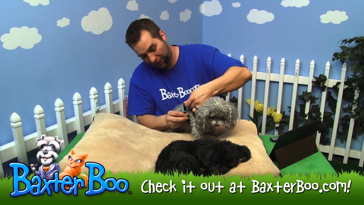 Basic Soft Harness by Puppia   Camo