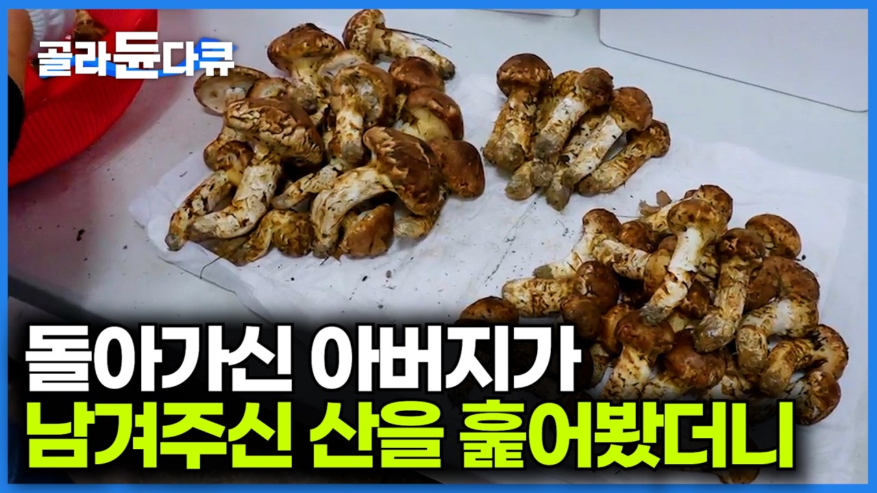 아버지가 유산으로 남겨주신 산에서 발견된 대량의 송이｜극한직업｜