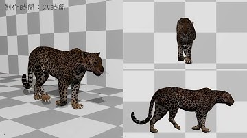 motion Leopard walk cycle