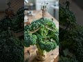 vegetable miniature
