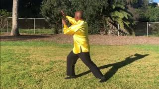 Grasp the Sparrow's Tail Tai Chi Code Lesson 4