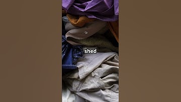 Fast Fashion