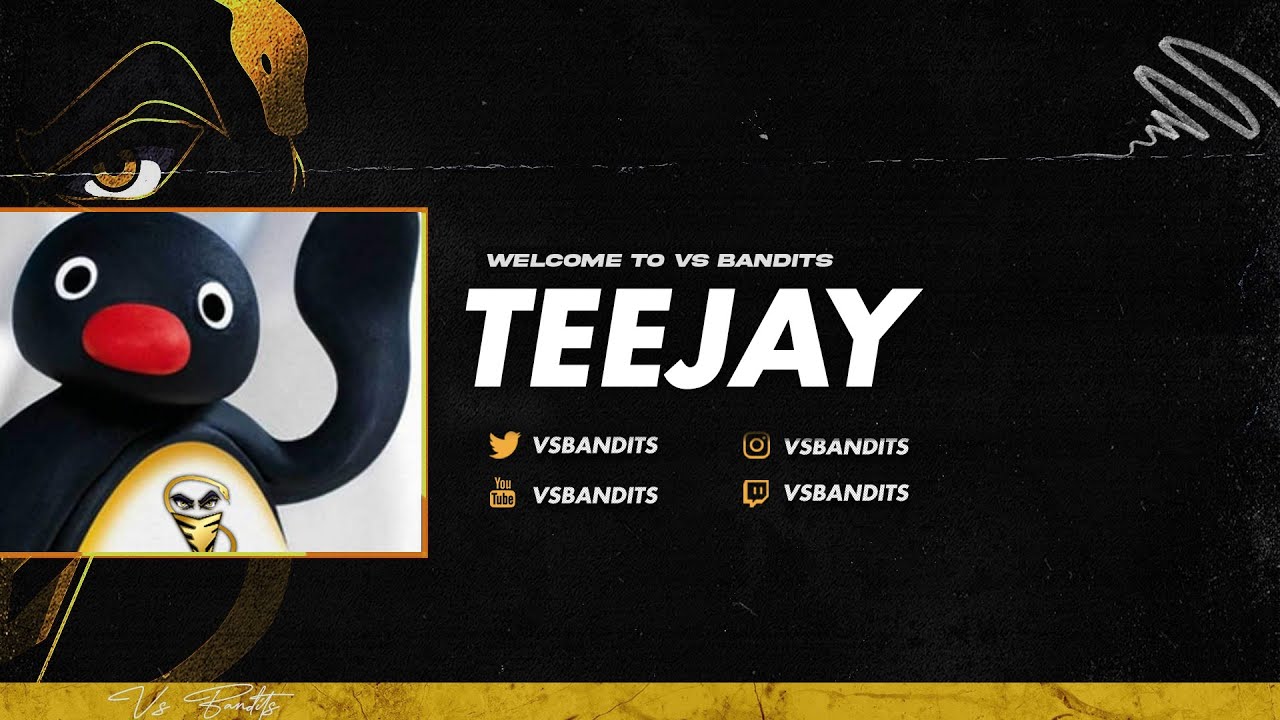 Introducing vsB TeeJay!