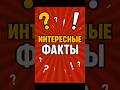 Богомол: самка съедает самца после спаривания