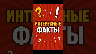Богомол: самка съедает самца после спаривания