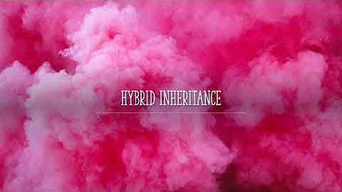 Hybrid Inheritance in C++ with Program | Lecture #24