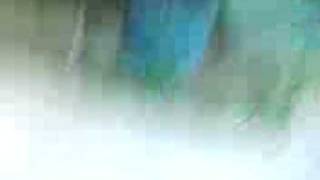 Funny Parkour.3gp