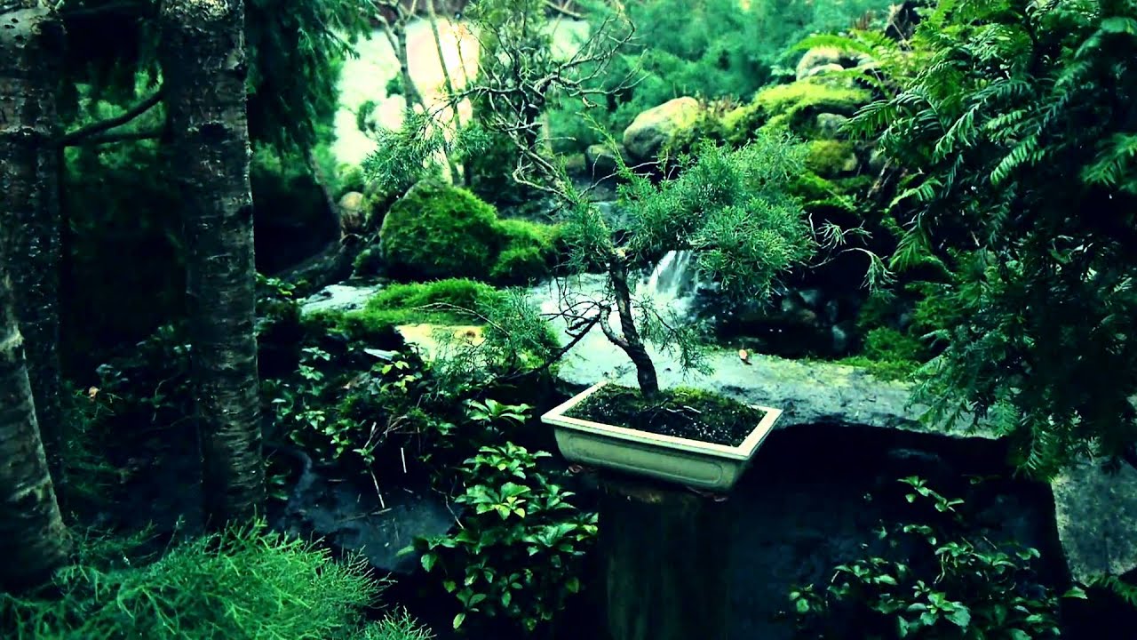 Japanese Garden, Panasonic GH2 Test, Film Grade