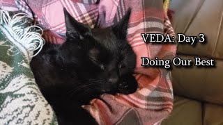 VEDA: Day 3 - Doing Our Best