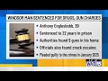 Man sentenced to 22 years after cocaine, guns were found in Windsor home