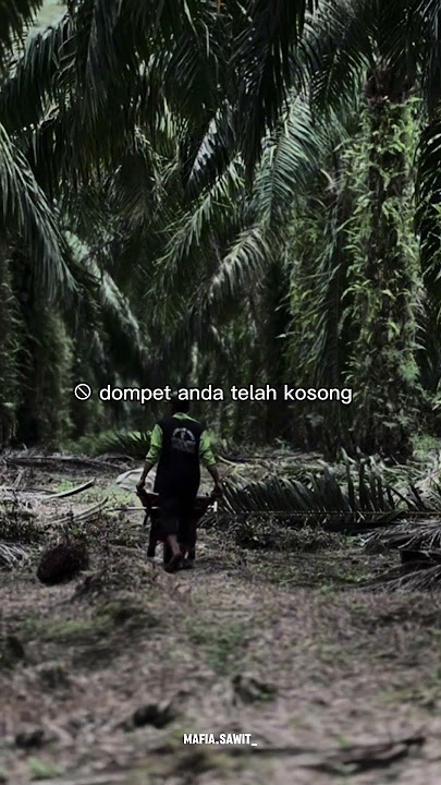Story wa motivasi anak sawit - dompet anda telah kosong saatnya kembali meninja sawit #sawit
