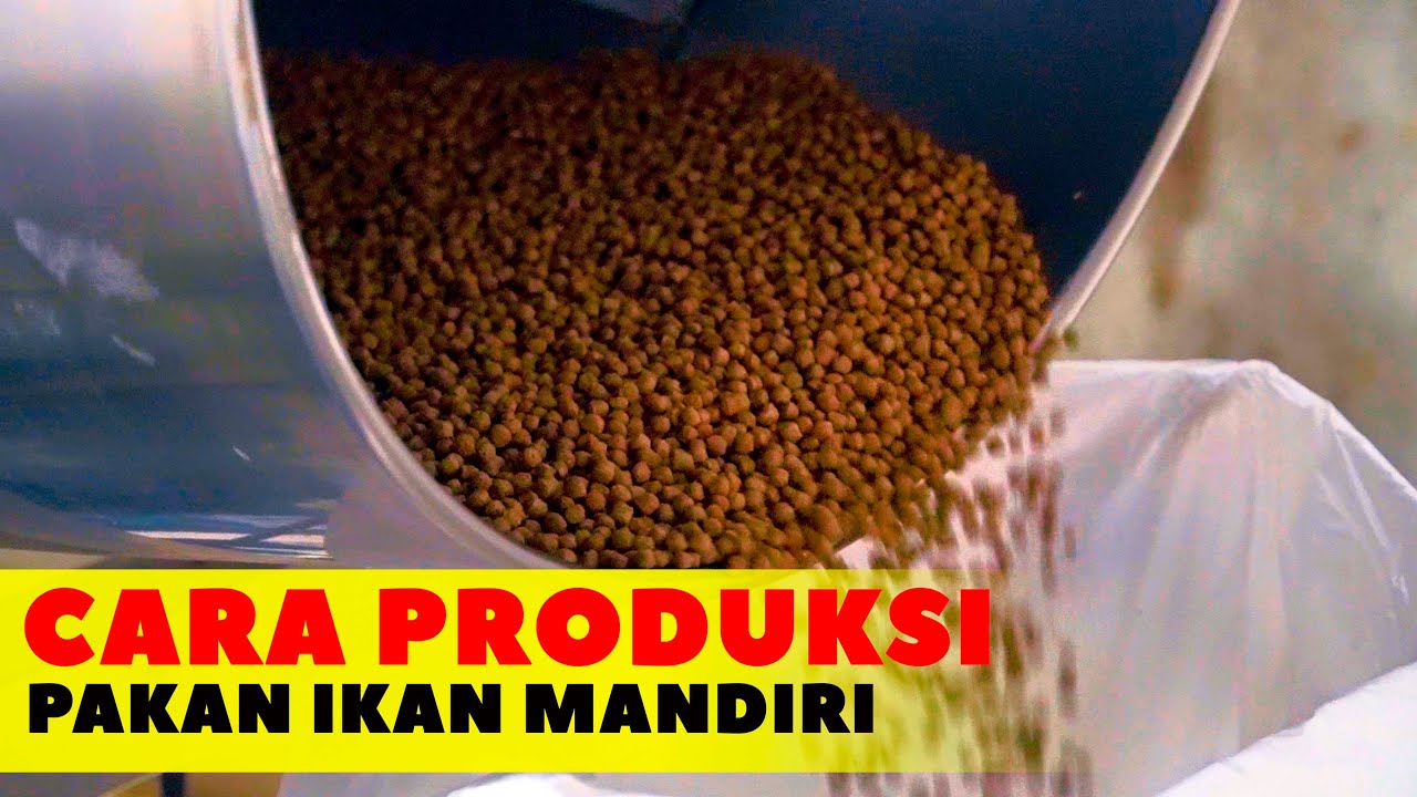 Cara Pembuatan #Pakan #Ikan Mandiri