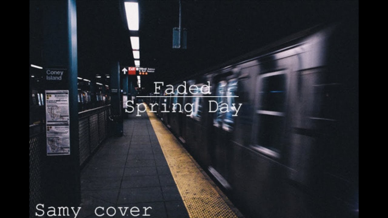 Alan Walker/BTS - Faded Spring Day mashup (Samy Cover)