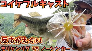 早い者勝ちです07メタニウム、コイケフルキャスト、コイケ17mm付けます mqdefault.jpg
