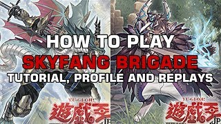 How to Play Fur Hire - Guide, Tutorial, Deck Profile & Replays Wealth