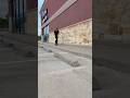 Calm lil Ollie off a curb
