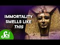 The 5,000-Year-Old Mystery of Ancient Egyptian Perfume