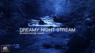 Dreamy Night Stream and Cricket Symphony for Sleep Relaxation. Soft Music. 4K ASMR screenshot 3