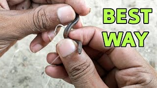 best way to hook a worm for fishing | worm bait hooking trick screenshot 3