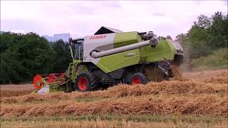 Moisson d'avoine 2021 HD [ TUCANO 430 ] FRANCE.