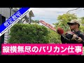 カイヅカイブキの生垣は「縦」にも「横」にもハサミを入れよう (クロダシャチョーの剪定教室)