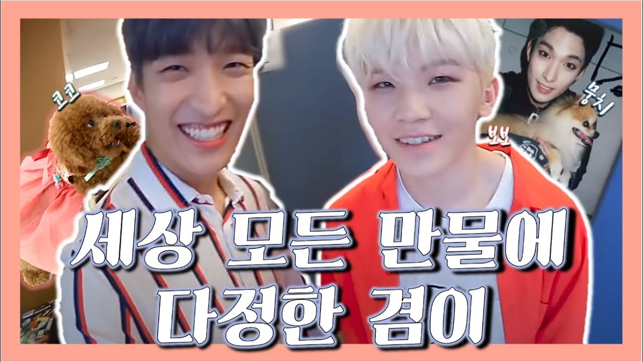 [세븐틴/도겸] 세상 모든 만물에 다정한 겸이