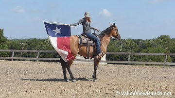 Whiskey - tarp flag rope! - ValleyViewRanch.net